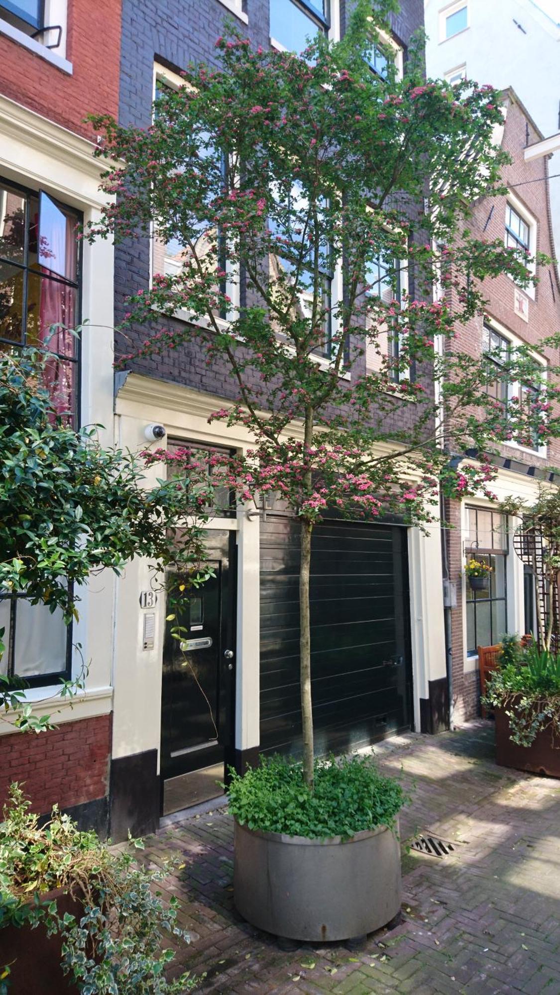 Huis Roomolen Amszterdam Kültér fotó