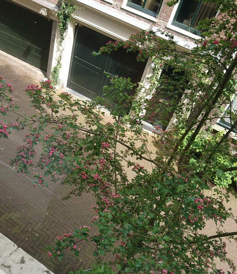 Huis Roomolen Amszterdam Kültér fotó
